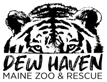 DEW Haven Maine Zoo & Rescue