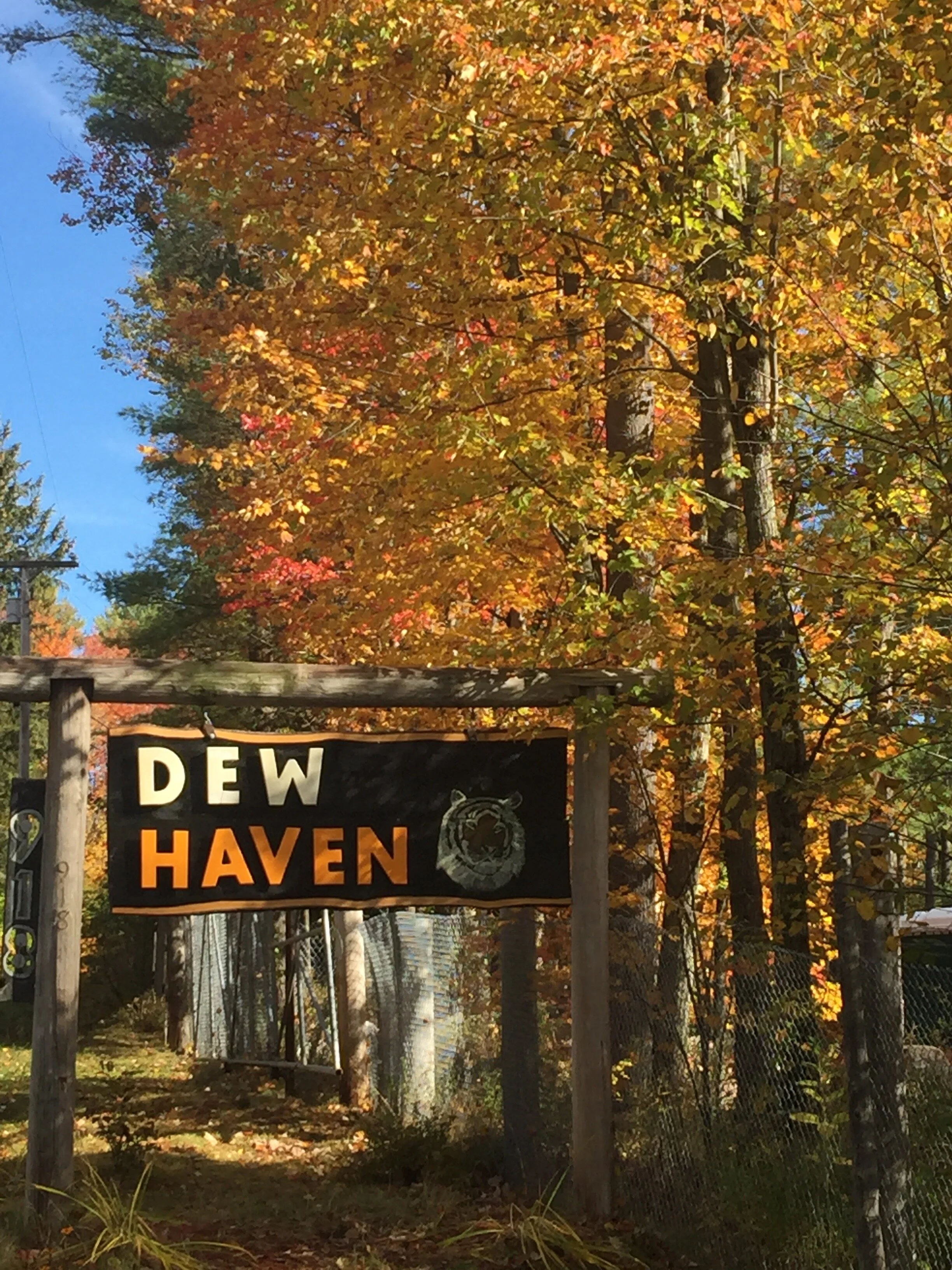 Autumn at DEW Haven Gate