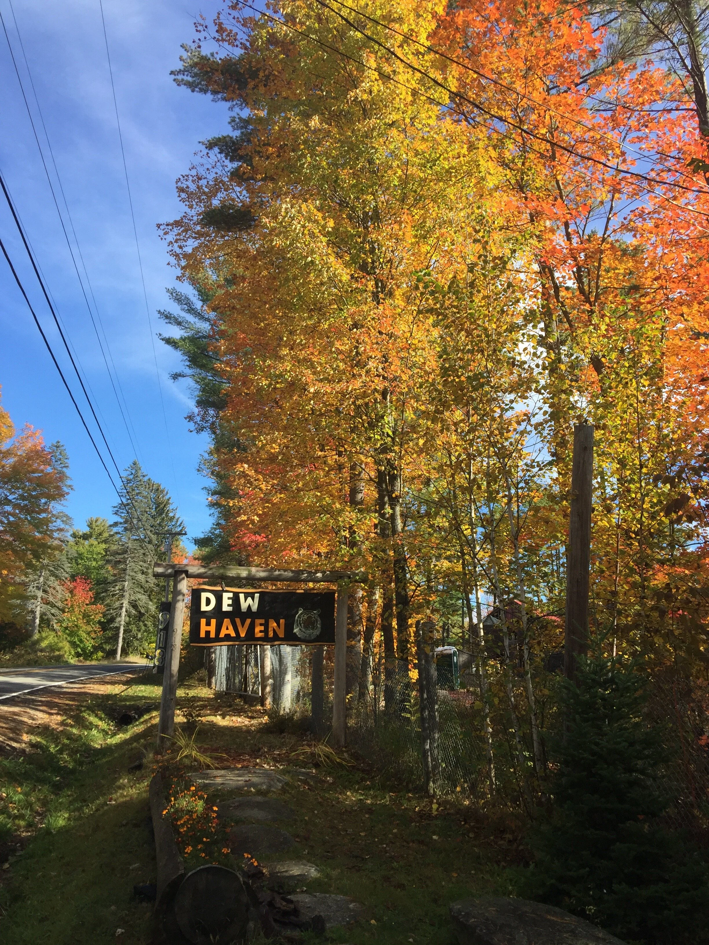 Handcrafted Cedar Sanctuary Sign