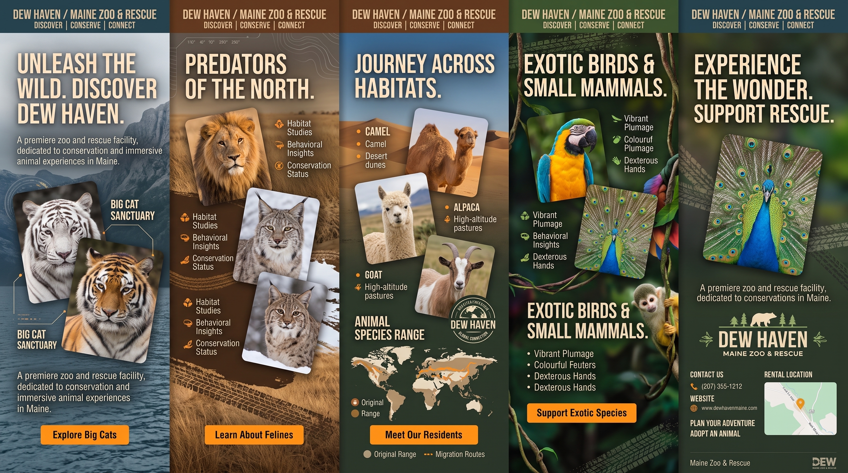 DEW Haven 5-Panel Sanctuary Showcase: Unleash the Wild, Predators of the North, Journey Across Habitats, Exotic Birds & Small Mammals, Experience the Wonder